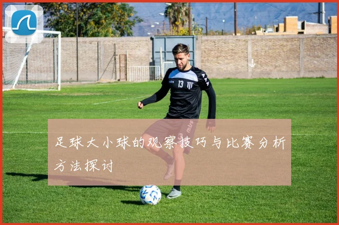 足球大小球的观察技巧与比赛分析方法探讨