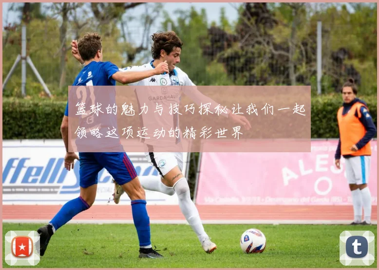 篮球的魅力与技巧探秘让我们一起领略这项运动的精彩世界